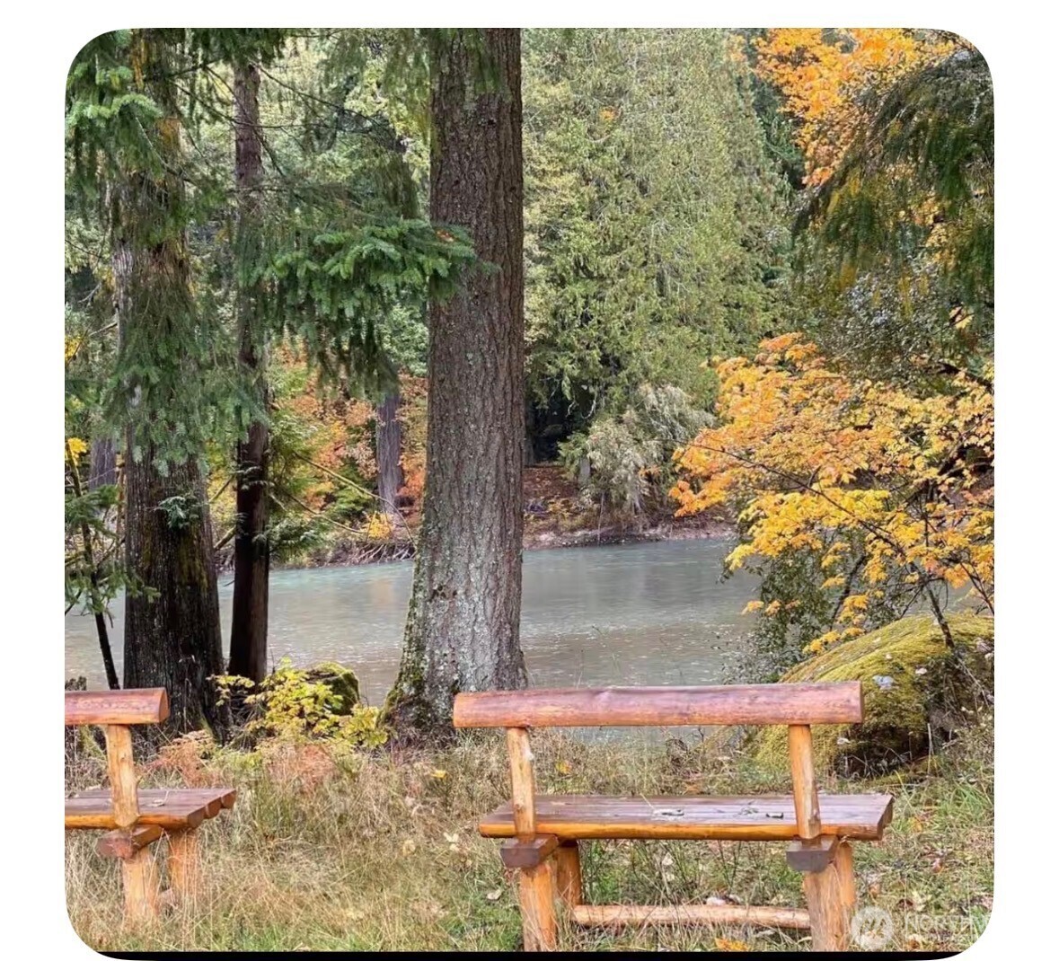 171 Baker Road Randle WA 98377