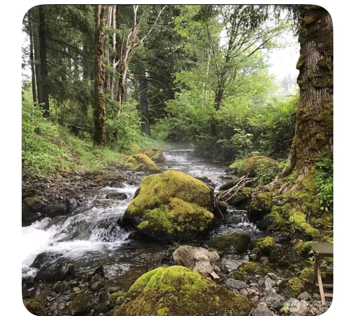 171 Baker Road Randle WA 98377