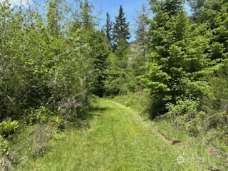 171 Baker Road Randle WA 98377