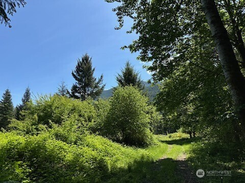 171 Baker Road Randle WA 98377