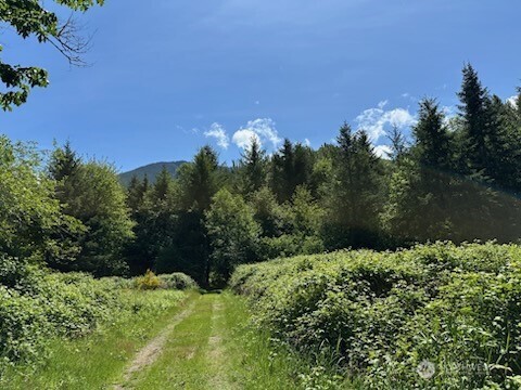 171 Baker Road Randle WA 98377