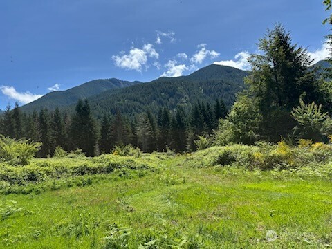 171 Baker Road Randle WA 98377