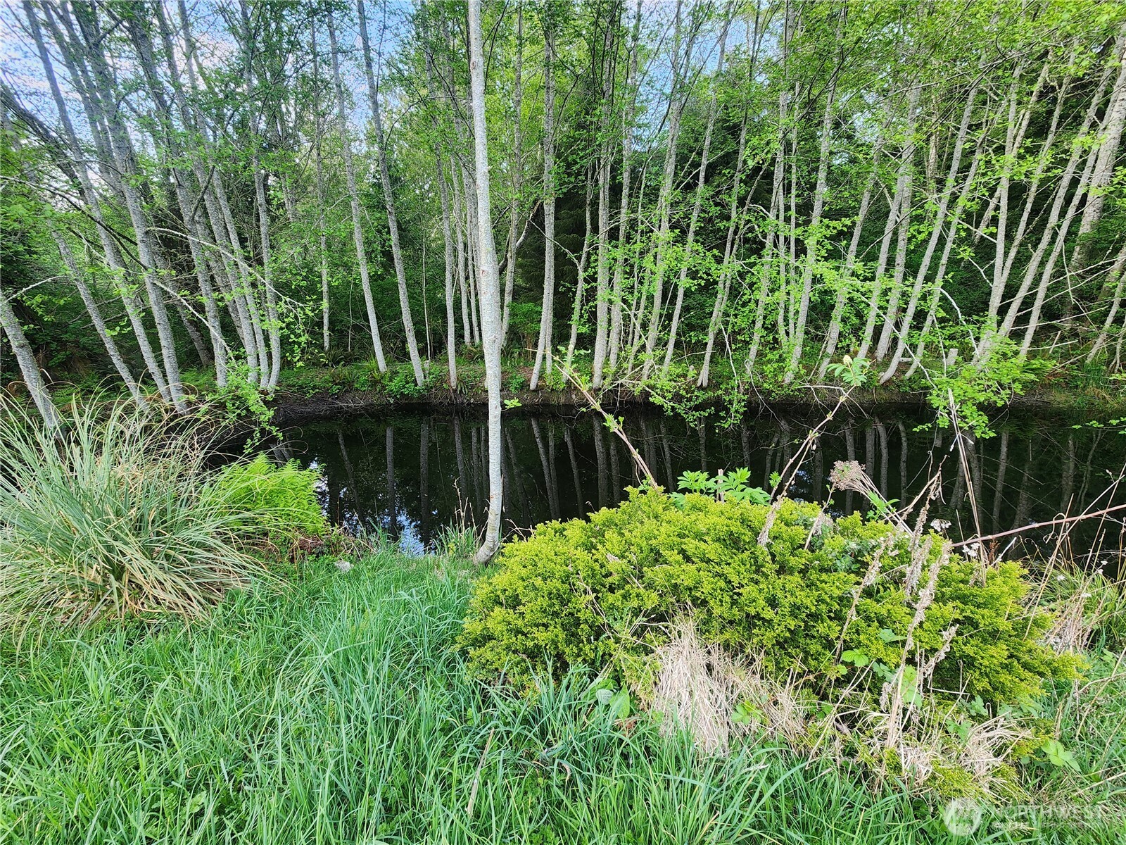 663 Whiskey Creek Beach Road Port Angeles WA 98363