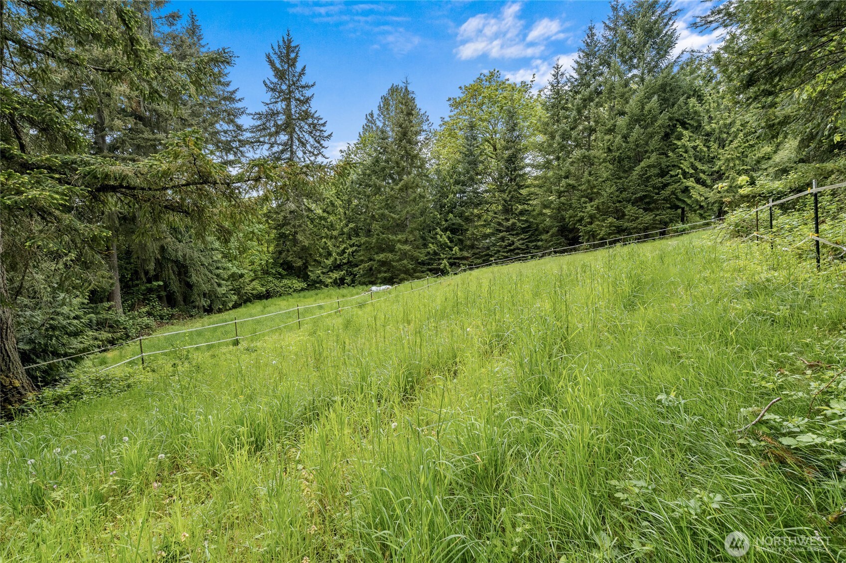 26828 NE Ames Lake Road Redmond WA 98053
