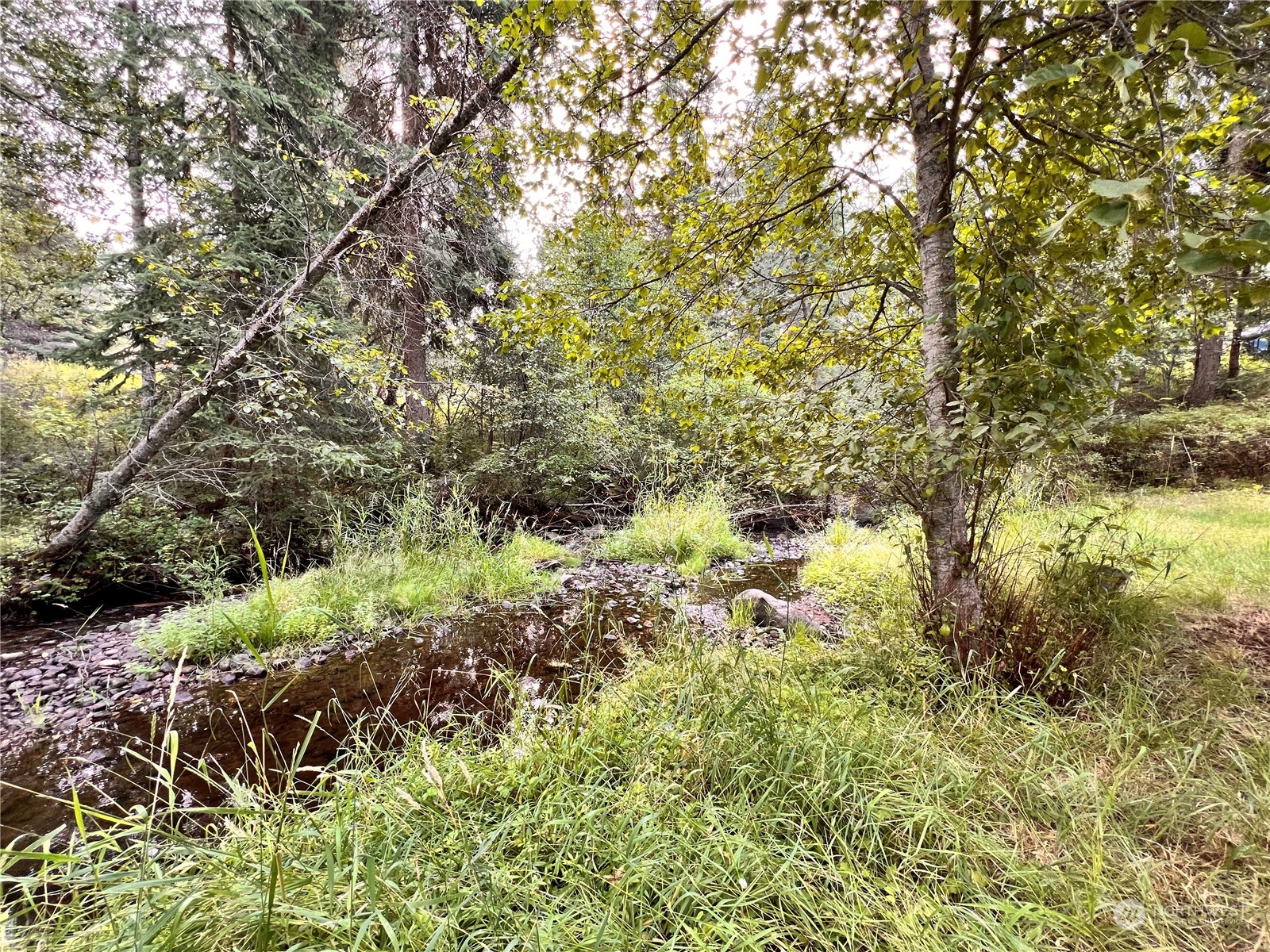 5 Vista Drive Republic WA 99166