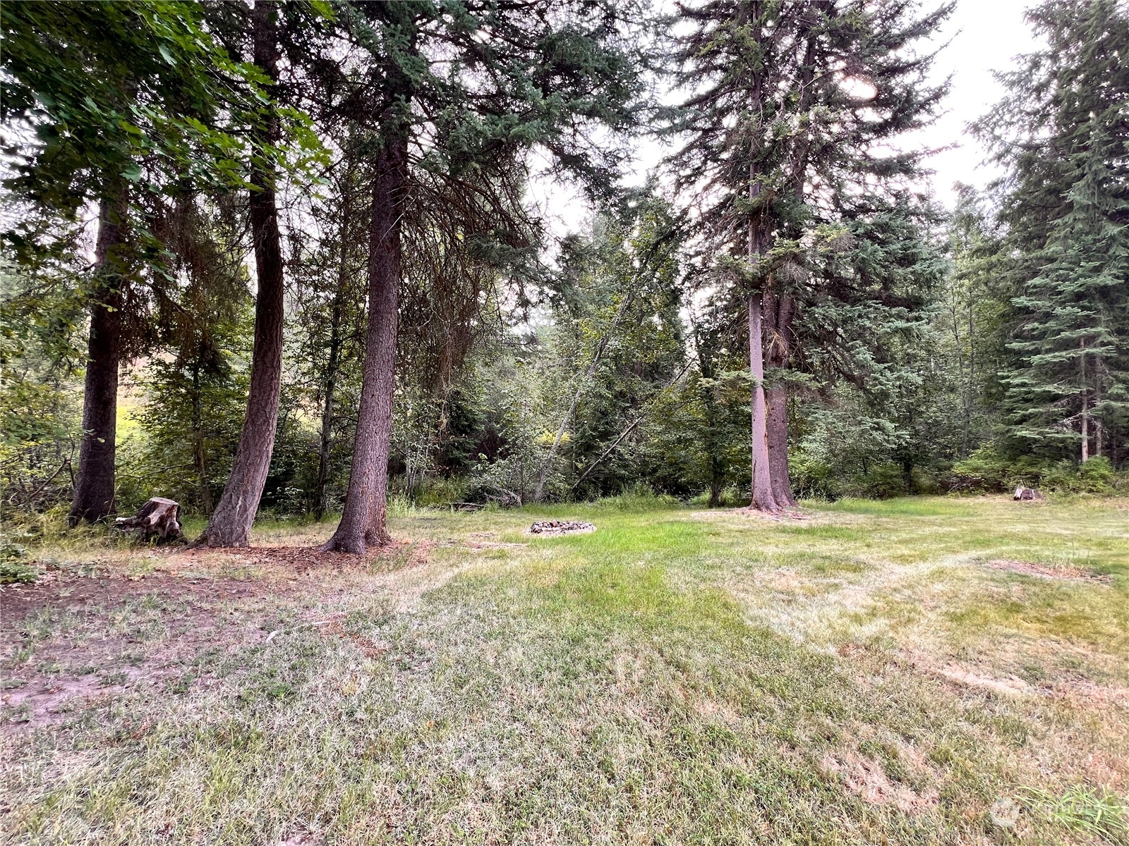 5 Vista Drive Republic WA 99166