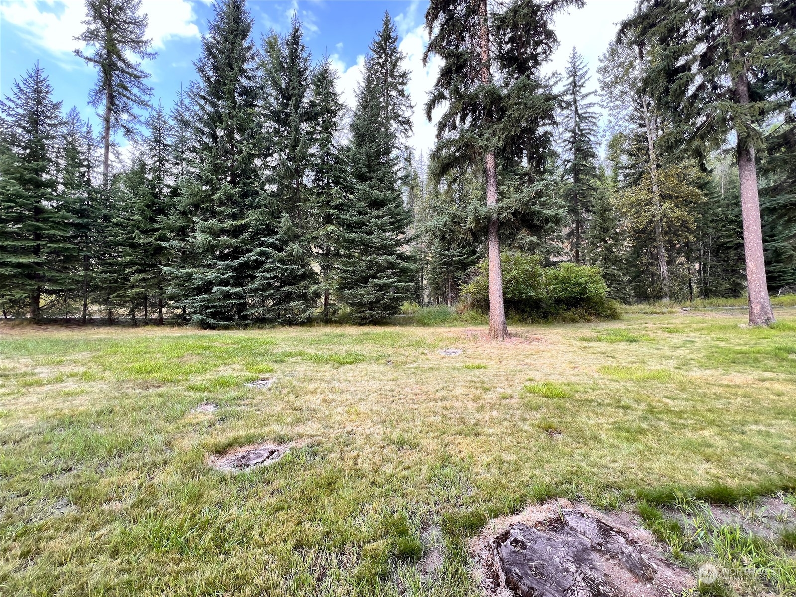 5 Vista Drive Republic WA 99166