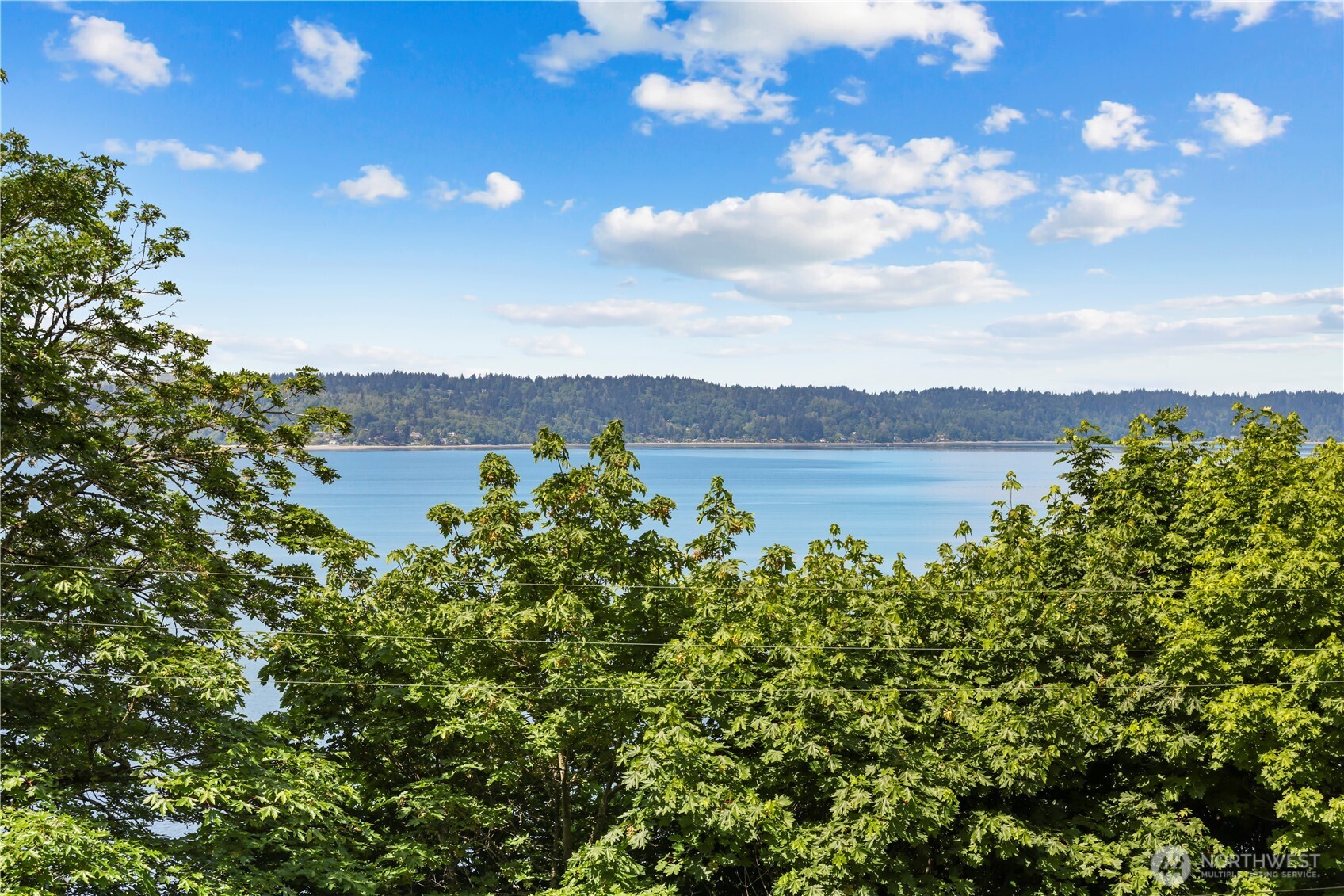 15930 Maplewild Avenue SW Burien WA 98166