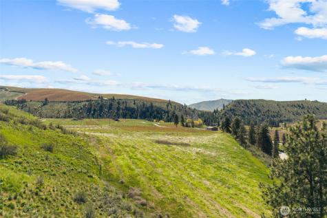 565 Boyd Loop Road Manson WA 98831