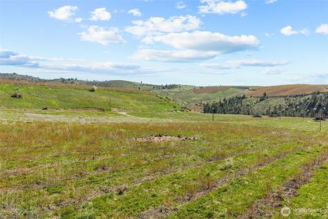 565 Boyd Loop Road Manson WA 98831