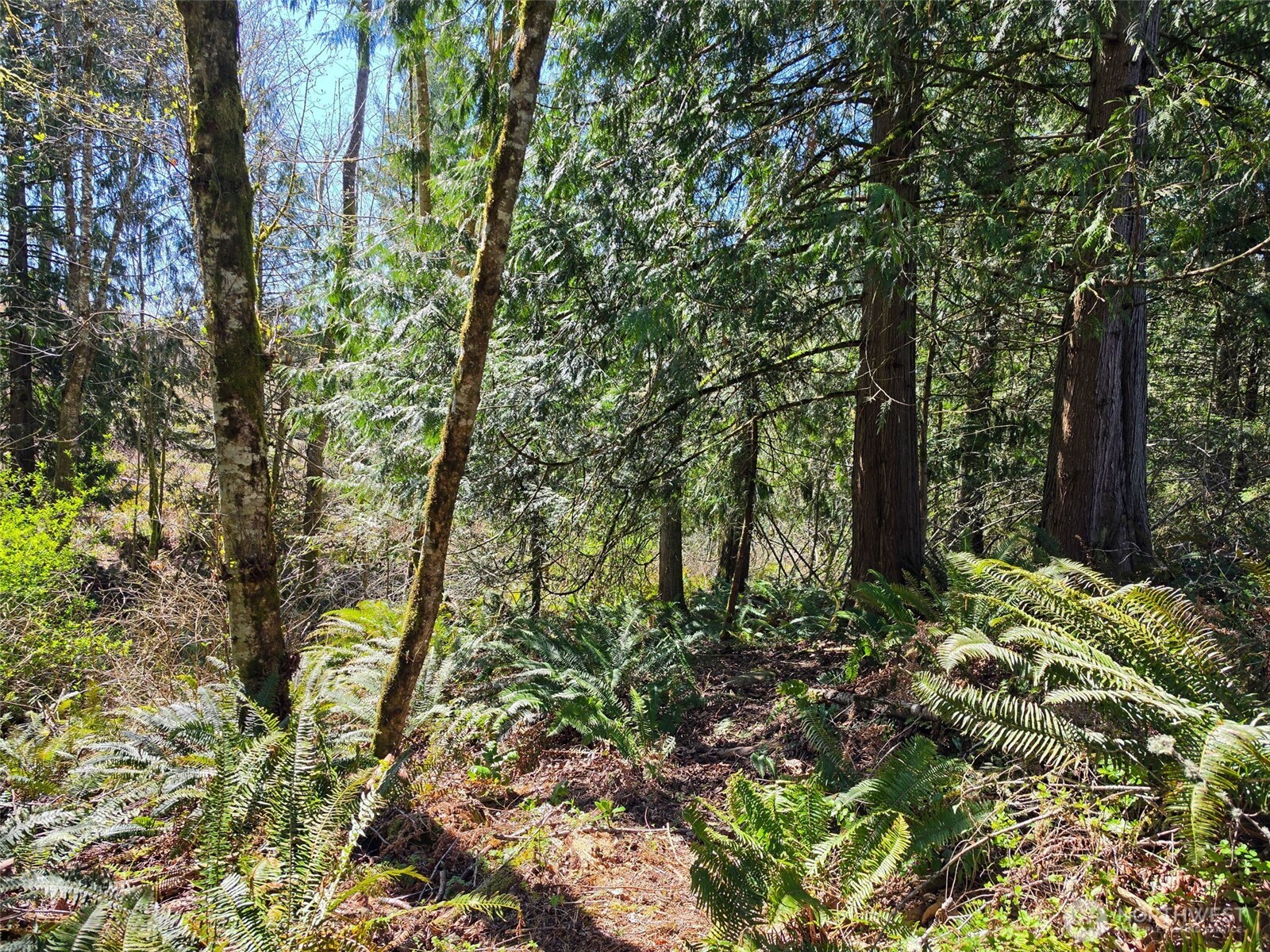23430 Fisk Road E Orting WA 98360