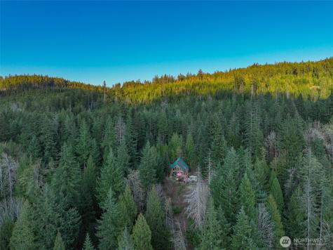 6323 N Lake Cushman Road Hoodsport WA 98548