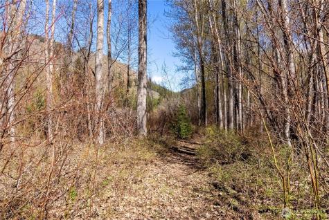 74 W Buttermilk Creek Road Twisp WA 98856