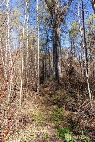 74 W Buttermilk Creek Road Twisp WA 98856