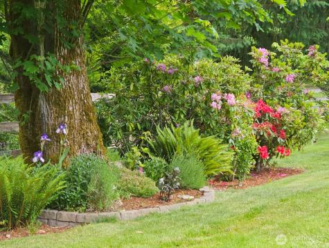 2024 Lorraine Drive SE Olympia WA 98501