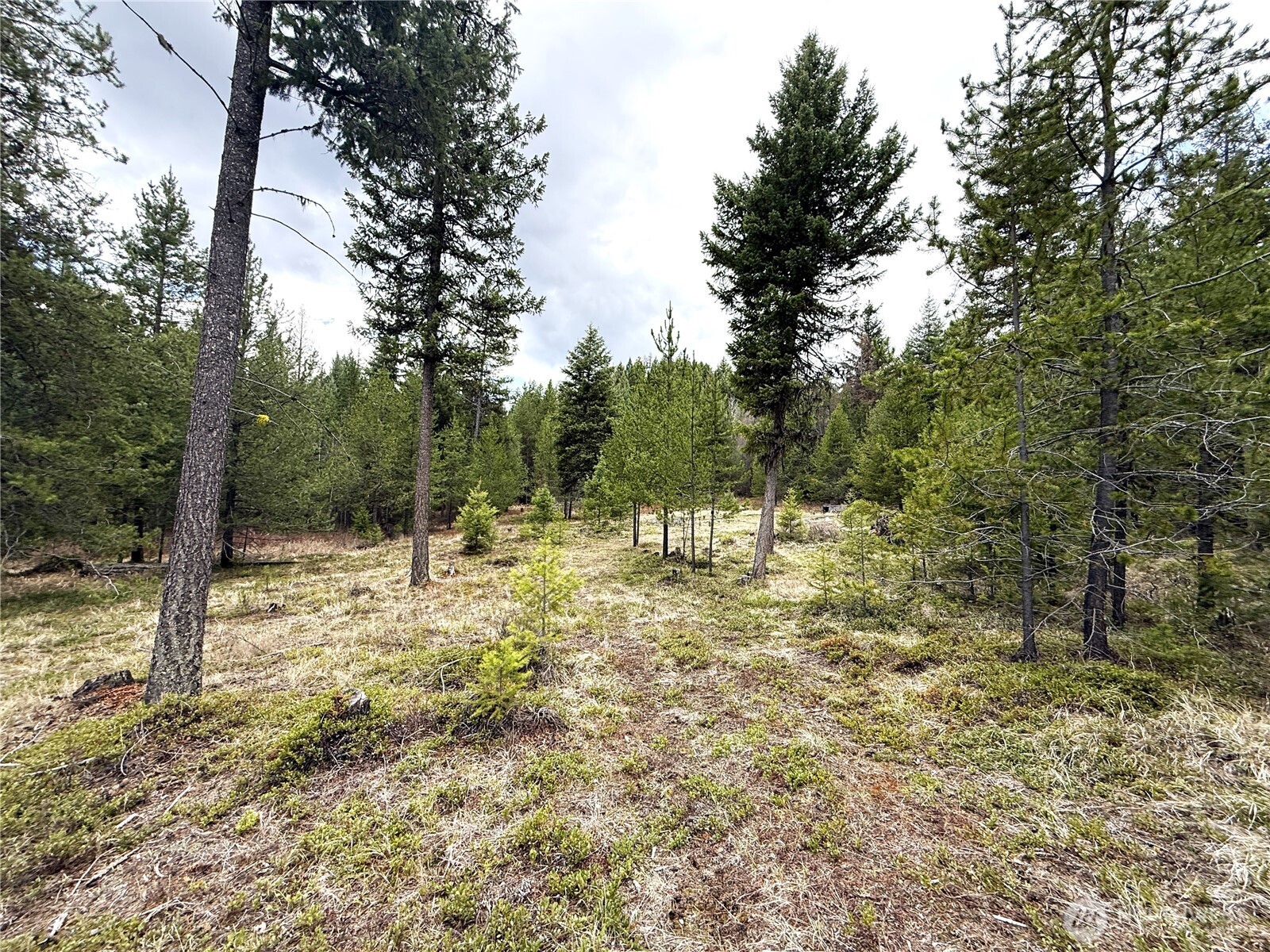 7 Hazel Lane Republic WA 99166