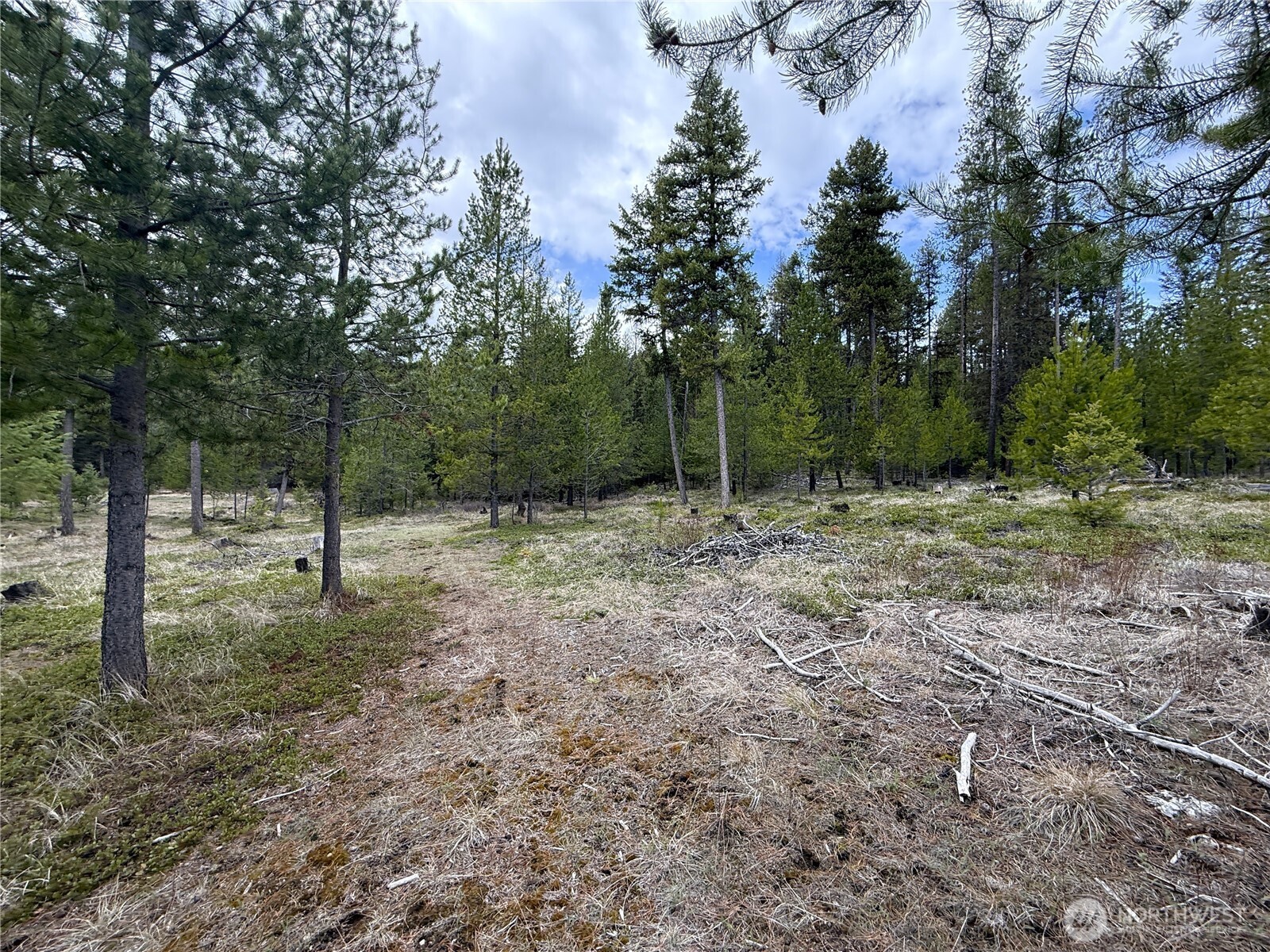 7 Hazel Lane Republic WA 99166