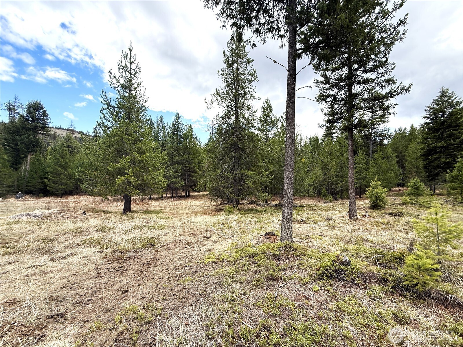 7 Hazel Lane Republic WA 99166