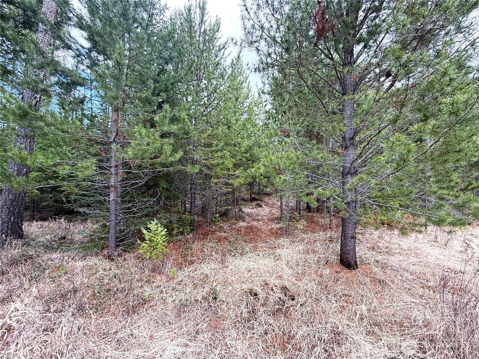 7 Hazel Lane Republic WA 99166