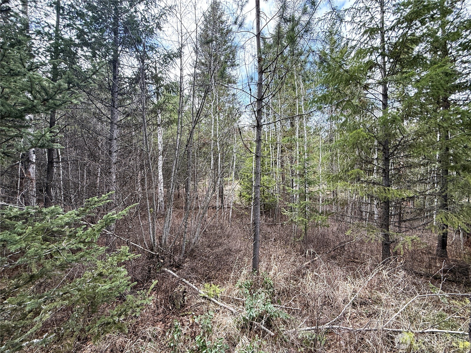 7 Hazel Lane Republic WA 99166