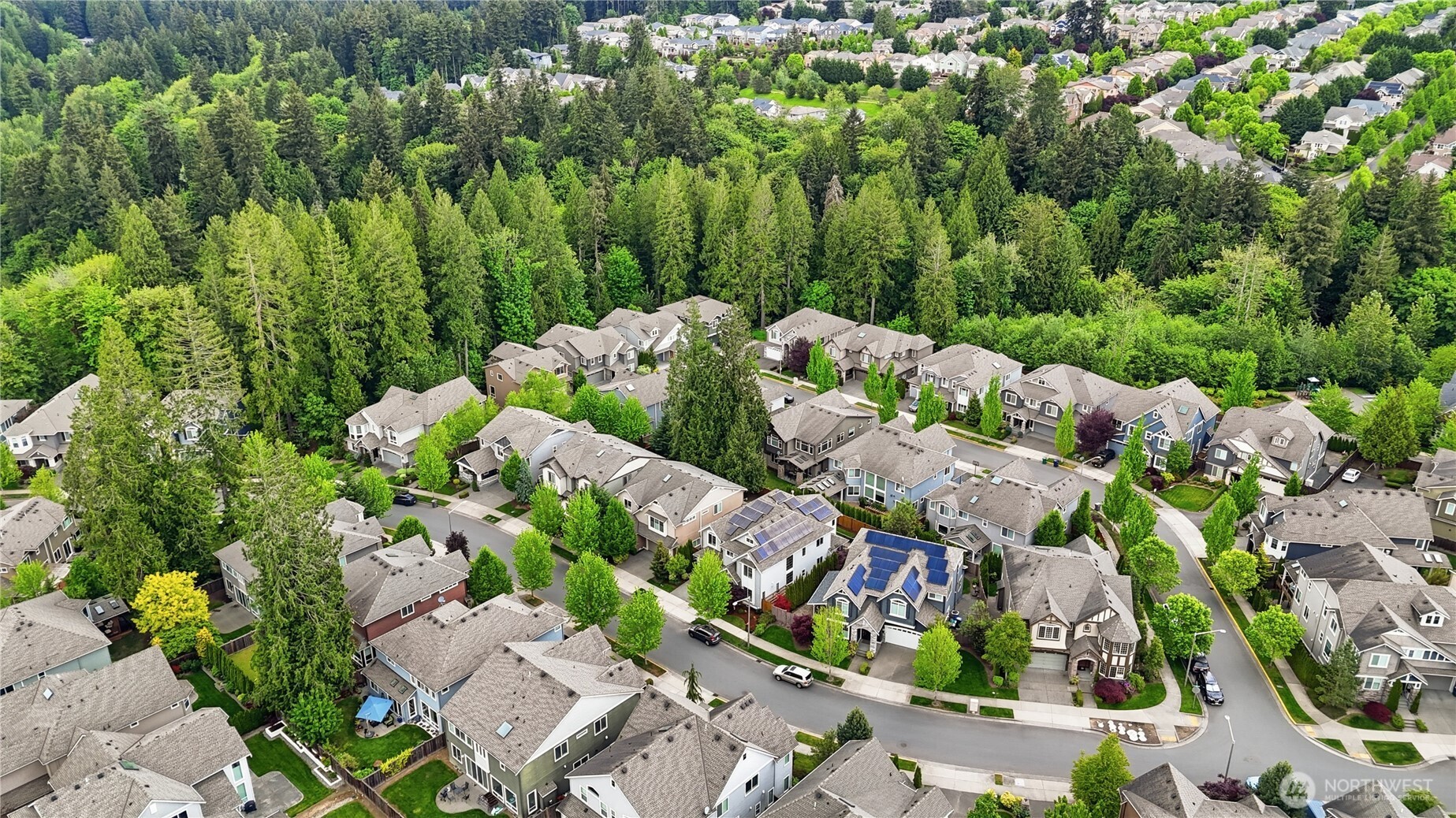 11906 161st Ave NE Redmond WA 98052