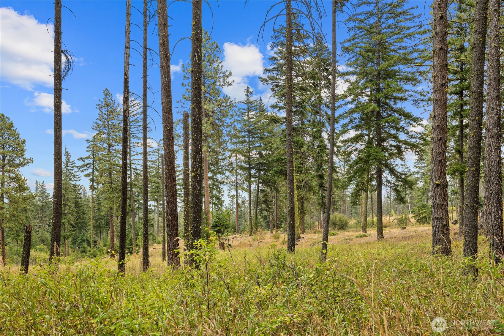 371 Eastgate Road Cle Elum WA 98922