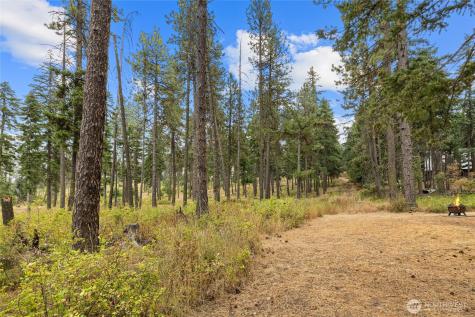 371 Eastgate Road Cle Elum WA 98922