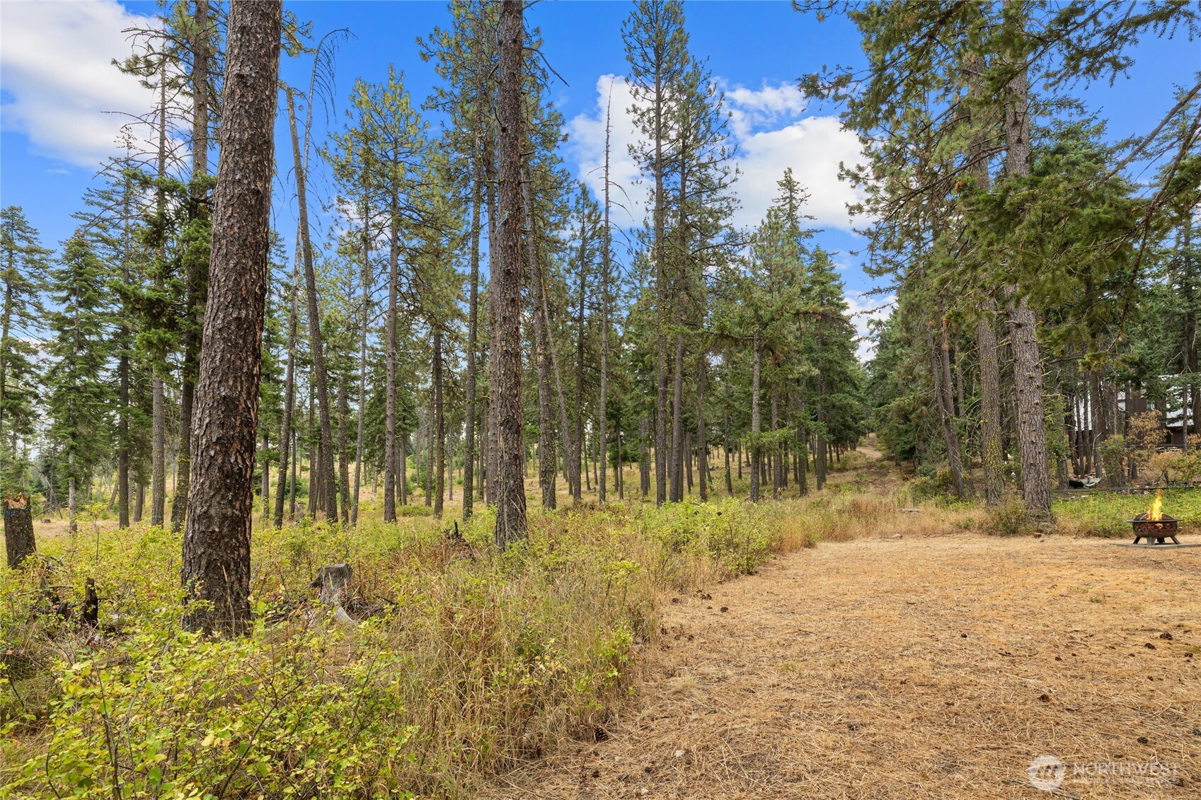 371 Eastgate Road Cle Elum WA 98922