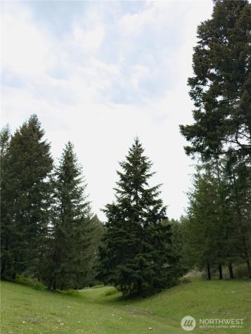 5010 Offut Lake Road SE Tenino WA 98589
