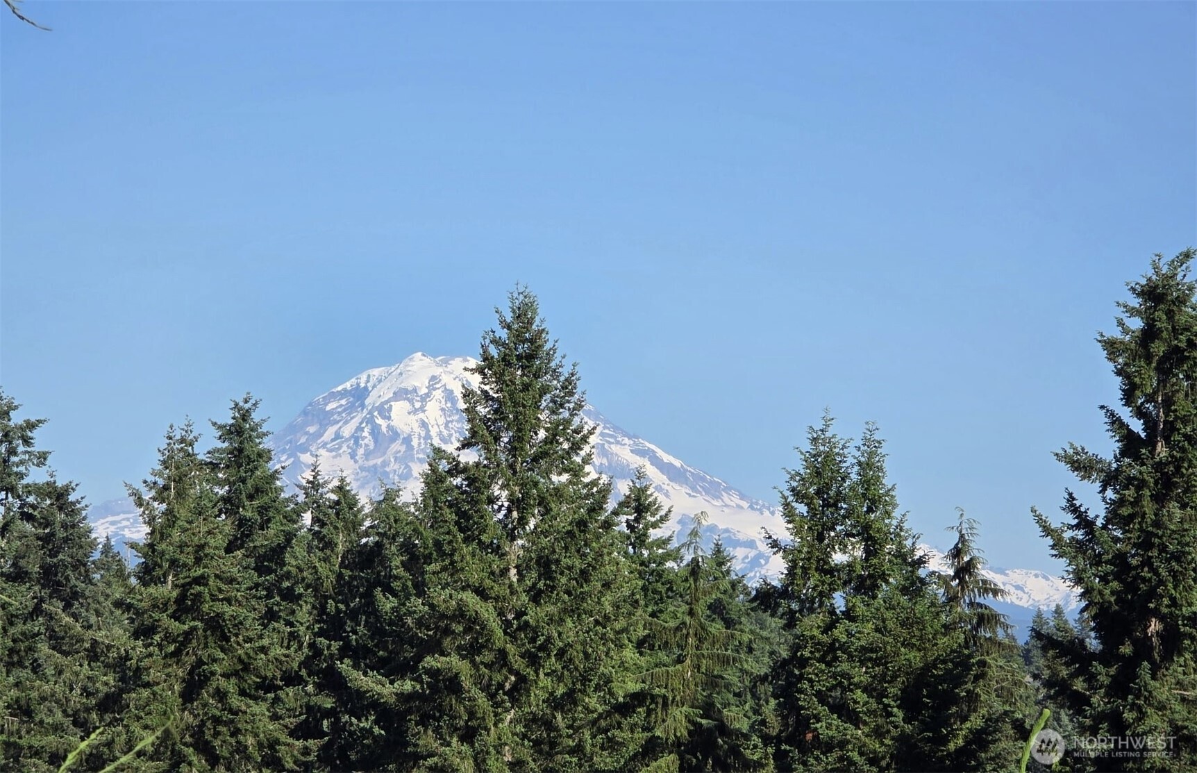 14407 68th Avenue Ct E Puyallup WA 98375