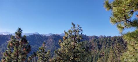 11685 Sunitsch Canyon Road Leavenworth WA 98826