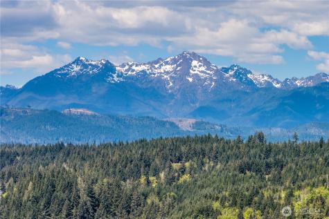 13300 NE North Shore Road Belfair WA 98528