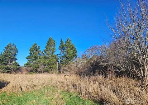 2007 41st Place Seaview WA 98644