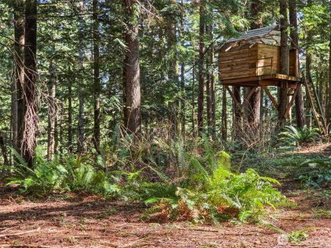 31408 SE Retreat Kanaskat Road Ravensdale WA 98051