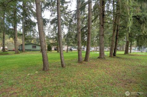 17340 Sargent Road SW Rochester WA 98579