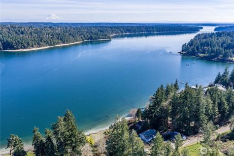 91 E Franjo Beach Drive Shelton WA 98584
