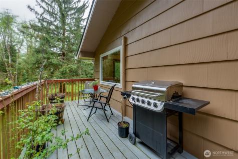 48 Elk Ridge Lane Naselle WA 98638