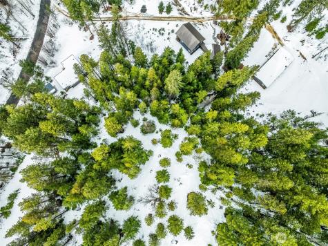 56 White Fir Lane Leavenworth WA 98826