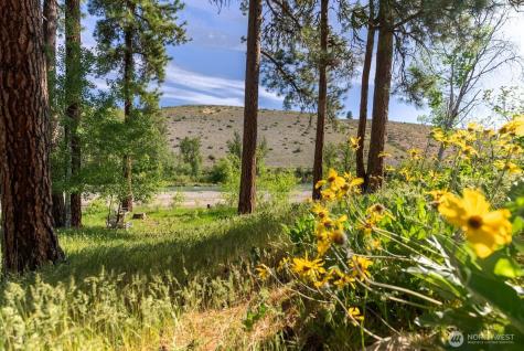 19 Mariposa Lane Winthrop WA 98862