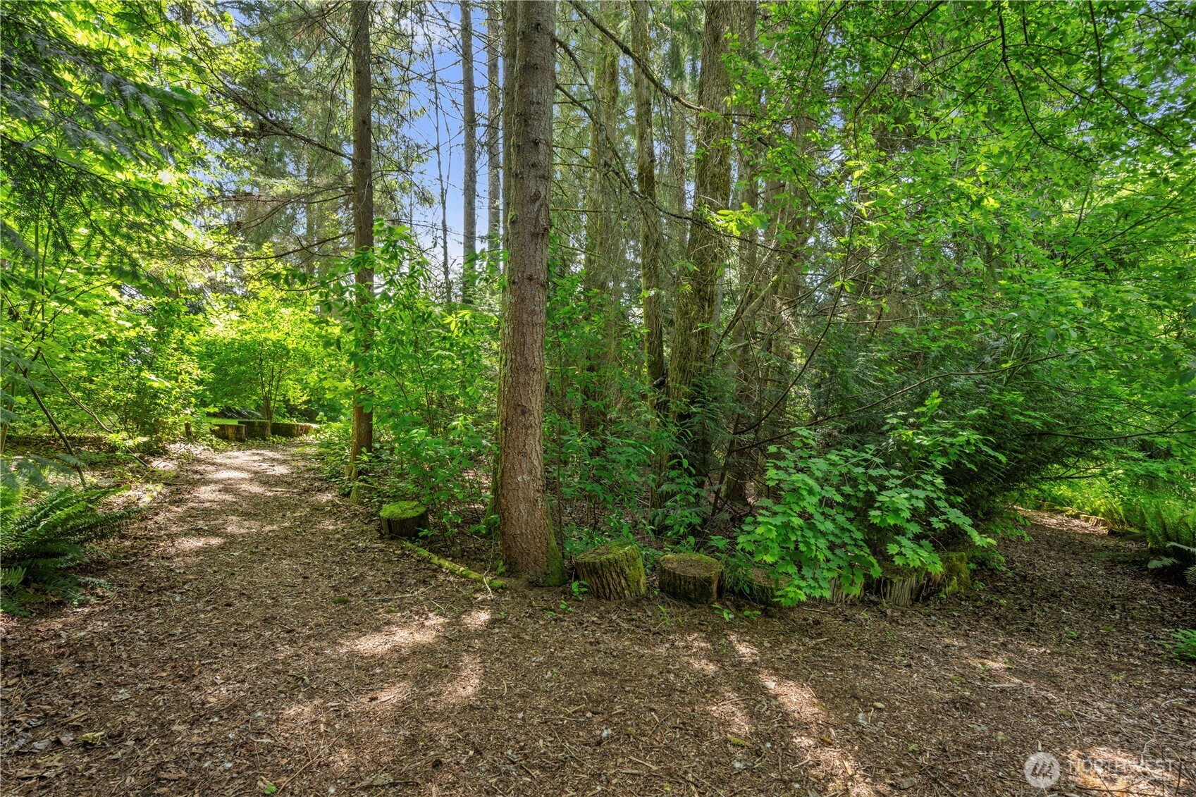 13609 3rd Street SE Snohomish WA 98290