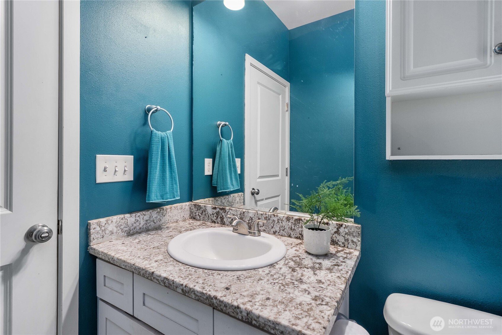 7805 300th Street Court S Roy WA 98580