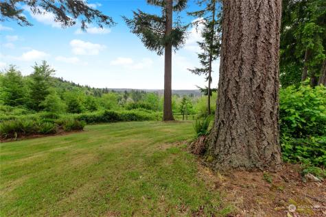 17235 Crane Street Se Tenino WA 98589