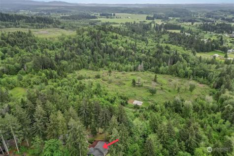 17235 Crane Street Se Tenino WA 98589