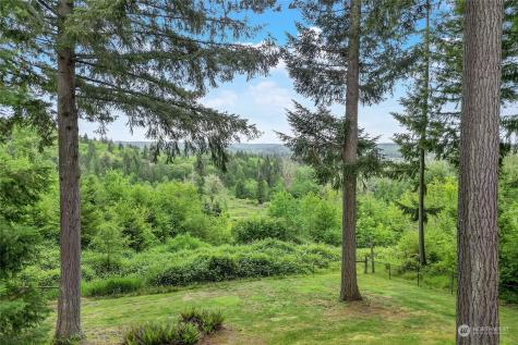 17235 Crane Street Se Tenino WA 98589