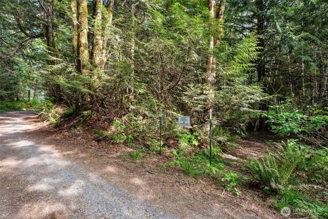 17122 61st Street NW Vaughn WA 98394