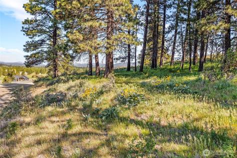 2681 Hidden Valley Road Cle Elum WA 98922