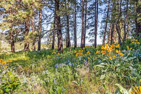 2681 Hidden Valley Road Cle Elum WA 98922