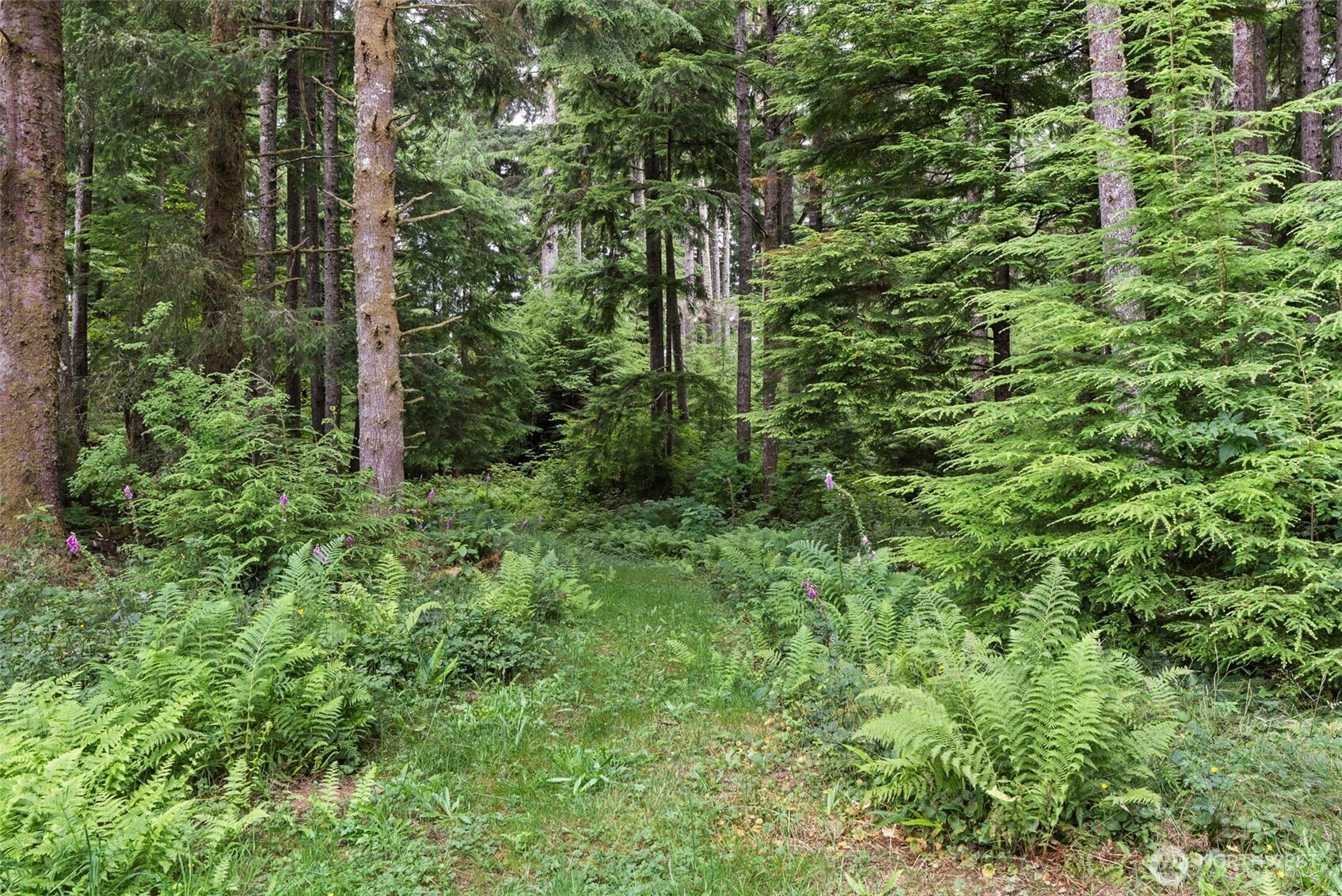 33 Rustemeyer Road Aberdeen WA 98520