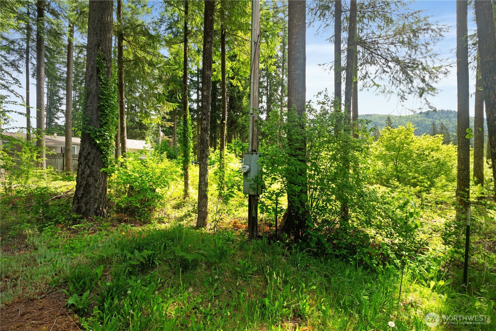 6182 Chestnut Drive Maple Falls WA 98266