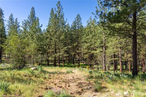 21 Twin Lakes Drive Winthrop WA 98862